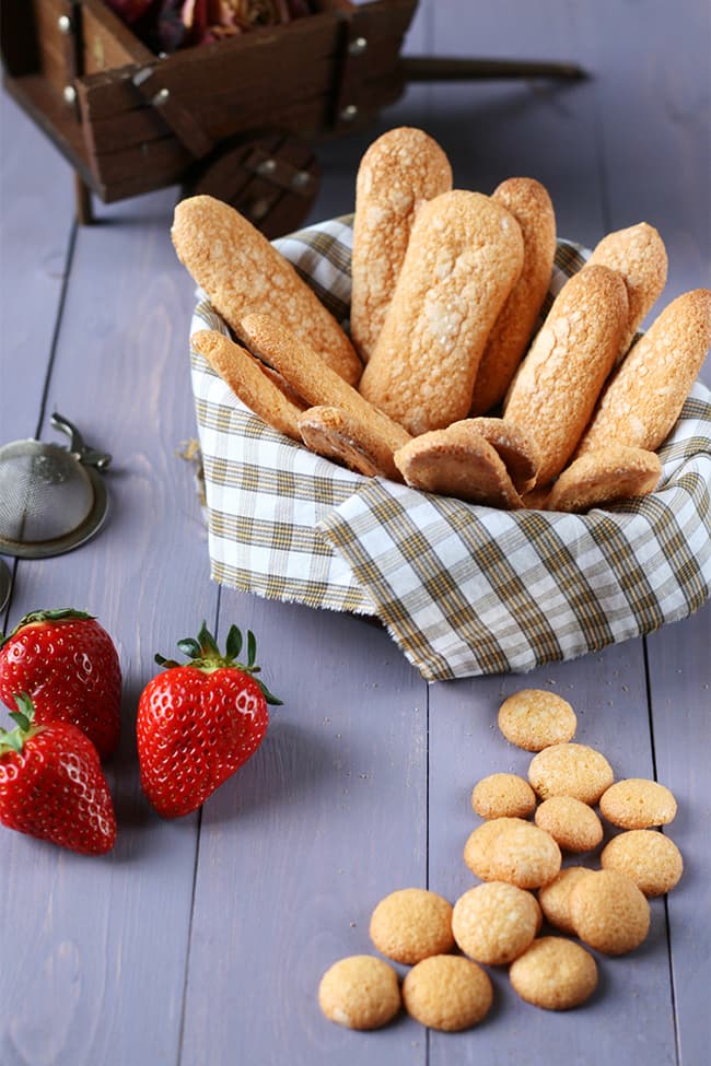 Biscuits cuillère