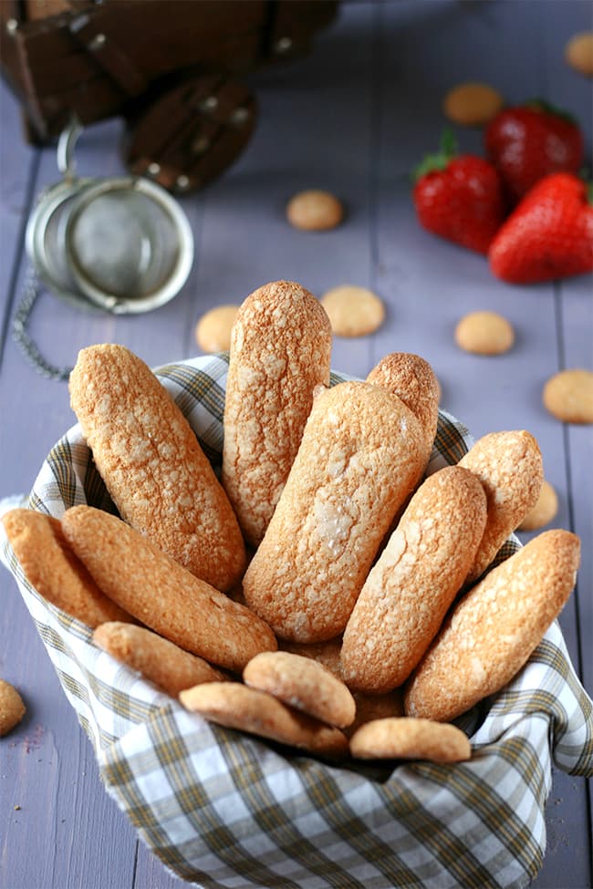 Biscuits cuillère