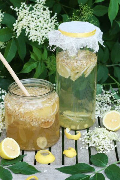 Limonade maison au sureau