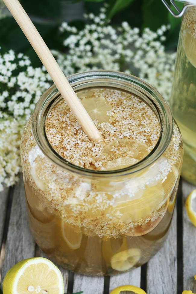 limonade aux fleurs de sureau (lacto-fermentée)