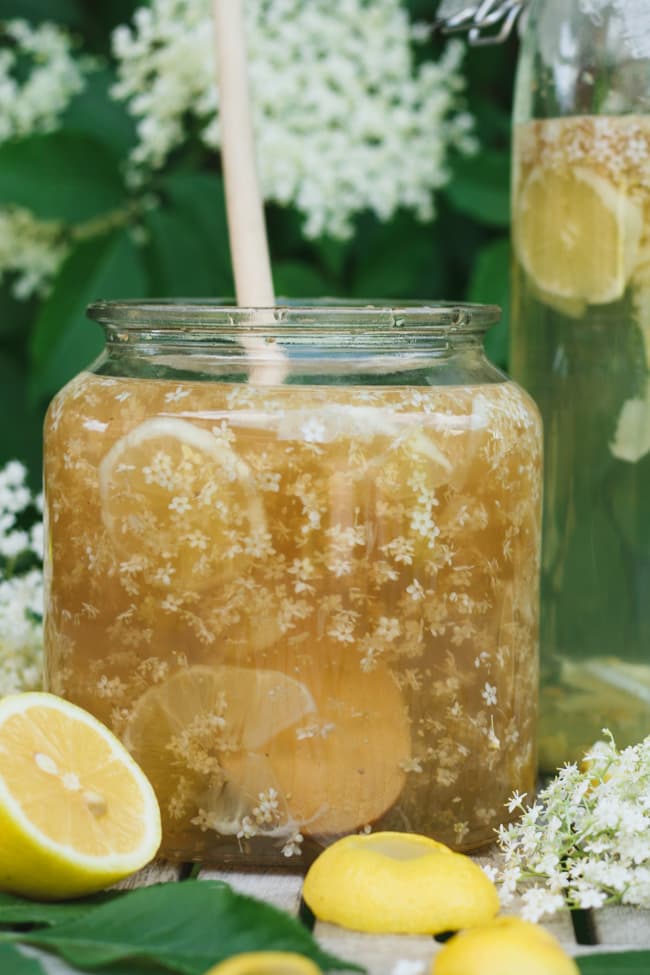 limonade aux fleurs de sureau (lacto-fermentée)