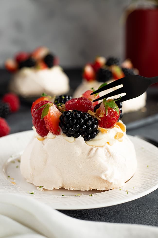 Pavlova individuel