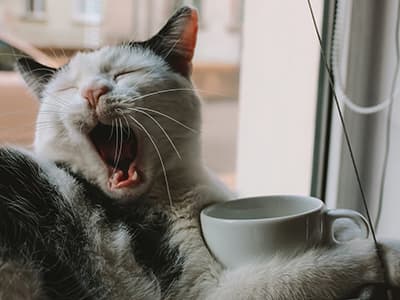 Difficultés à démarrer la matin